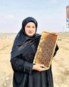 The Bee Queen of Kashmir10