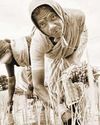Bengal in the Times of Gandhi Land23