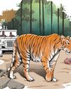 Promises unkept, Moodakolly residents continue to bear brunt of tiger attacks