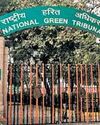NGT stops deployment of forest personnel for poll duty2
