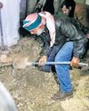 Families search for their loved ones in Saydnaya jail basement, dungeons