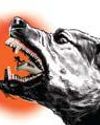 Over 2L dog bite cases in 2 yrs, concern in Valley16