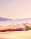 Air India may defer aircraft deliveries, expansion plans Air India may defer aircraft deliveries, expansion plans18