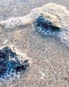 Centre makes draft rules for control of coastal oil lumps7