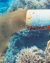 MOEFCC SET TO LIFT BAN ON HAZARDOUS CHEMICALS IN COASTAL AREAS MOEFCC SET TO LIFT BAN ON HAZARDOUS CHEMICALS IN COASTAL AREAS3