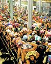 Security upped at Sabarimala in view of Babri demolition anniv