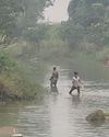 Dumping of toxic waste from illicit liquor units pollute Sapua river in Athagarh