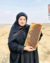 The Bee Queen of Kashmir9
