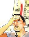 Summer temp may be 1-4°C above norm this yr1