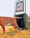 The New Indian Express Kalaburagi