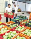 நிகழாண்டில் மா விளைச்சல் 10% அதிகம் நிகழாண்டில் மா விளைச்சல் 10% அதிகம்