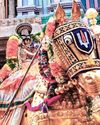 ஸ்ரீரங்கத்தில் வசந்த உற்சவ விழா நிறைவு: தங்கக் குதிரை வாகனத்தில் நம்பெருமாள்70