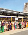 வார விடுமுறை: திருச்செந்தூர் கோயிலில் பக்தர்கள் குவிந்தனர்81