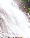 குற்றாலம் அருவிகளில் வெள்ளப்பெருக்கு58