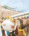 மலைக்கோட்டை கோயிலில் 150 கிலோ கொழுக்கட்டை படையல்28