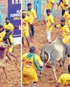 வெளிநாட்டு ஜுனியர் ஹாக்கி வீரர்களுக்காக அலங்காநல்லூர் அருகே சிறப்பு ஜல்லிக்கட்டு வெளிநாட்டு ஜுனியர் ஹாக்கி வீரர்களுக்காக அலங்காநல்லூர் அருகே சிறப்பு ஜல்லிக்கட்டு72