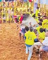 வடமலாப்பூர் ஜல்லிக்கட்டு: 31 பேர் காயம்63