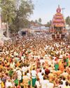 பழனியில் தைப்பூச தேரோட்டம்64