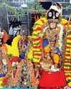 வடக்குப்பட்டு சுந்தரவரதராஜ பெருமாள் கோயிலில் தவள உற்சவம்11