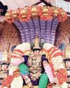 அஷ்டபுஜப் பெருமாள் நாக வாகனத்தில் வலம்15