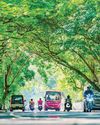சென்னையை பசுமையாக்கும் புதிய திட்டம் தீவிரம்1