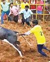 வடமலாப்பூர் ஜல்லிக்கட்டு: 31 பேர் காயம்0