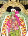 மதுரை மீனாட்சி அம்மன் பட்டாபிஷேகம்4