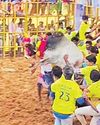 வடமலாப்பூர் ஜல்லிக்கட்டு: 31 பேர் காயம்11