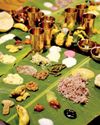 பாட்டியின் கைமணமே ருசியின் ரகசியம்9