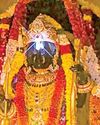 அயோத்தியில் ‘சூரிய திலகம்’ நிகழ்வு: லட்சக்கணக்கானோர் தரிசனம்12