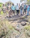 தேர்தல் பாதுகாப்பு பணி கேரளம் செல்லும் தமிழக சிறப்பு காவல் படையின் 10 பட்டாலியன்கள்26