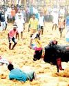 சிவகங்கை அருகே மஞ்சுவிரட்டு: காளைகள் முட்டியதில் மூவர் உயிரிழப்பு; 92 பேர் காயம் சிவகங்கை அருகே மஞ்சுவிரட்டு: காளைகள் முட்டியதில் மூவர் உயிரிழப்பு; 92 பேர் காயம்4