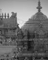 Dinamani New Delhi