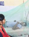 Dengue: MCD flags dearth of ELISA6