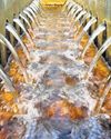 L-G cracks whip as key Yamuna project stalled L-G cracks whip as key Yamuna project stalled8