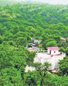 Activists: New forest law will spell disaster for Aravallis Activists: New forest law will spell disaster for Aravallis11