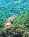 Environmental activists see red over proposed amendments to Forest Act26