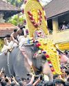 SC stays high court order imposing curbs on elephant parade at festivals