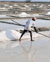 Decade after HC order, illegal salt pans continue to encroach TN waterbodies