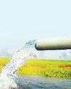 81% of groundwater safe for irrigation