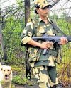 Thermal cameras, canines aid BSF at Bangla border