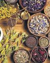 Ayush ministry rapped for not utilising funds