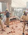 Sambhal violence: Mosque chief held, brother says arrest to stop testimony37