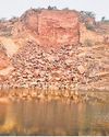 How forest land diverted for mining in Aravallis, asks NGT How forest land diverted for mining in Aravallis, asks NGT