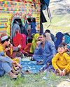 Nearly 60,000 Afghans deported from Pak in two weeks: IOM Nearly 60,000 Afghans deported from Pak in two weeks: IOM