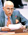 India says regional representation sole criterion for UNSC expansion India says regional representation sole criterion for UNSC expansion