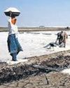 In a 1st, TN's crown jewel Thoothukudi sources 40K tonnes of salt from Gujarat In a 1st, TN's crown jewel Thoothukudi sources 40K tonnes of salt from Gujarat