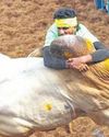 Jallikattu deaths: Chorus for animal hosp in TN district gains currency Jallikattu deaths: Chorus for animal hosp in TN district gains currency