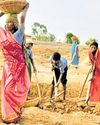Faster fix for festering injuries with first-aid for tribals in T'gana hamlets14