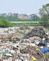 From feathered paradise to forgotten dump: Okhla sanctuary loses charm10